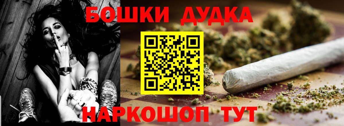 Каннабис сатива Майкоп